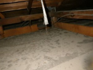 天井裏の雨漏り跡