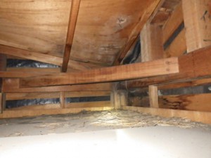 屋根下の天井裏の雨ジミ