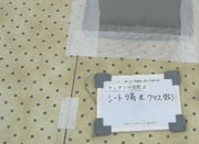 ���ナ�t�H�[���H���ʐ^