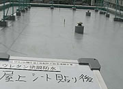 ���ナ�t�H�[���H���ʐ^