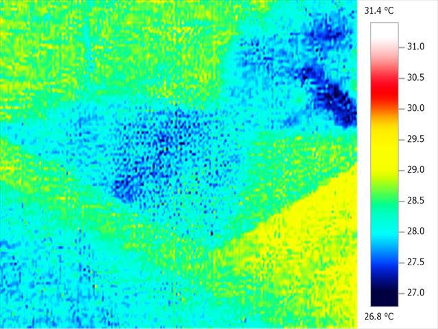 天井から水が滴っているときに、赤外線サーモグラフィーにて表面温度を撮影しました。